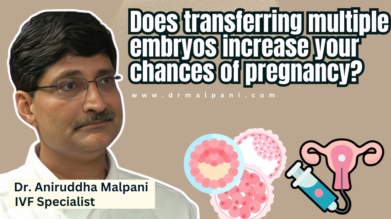 Does transferring multiple embryos increase your chances of pregnancy? #ivfpregnancy #ivftreatment