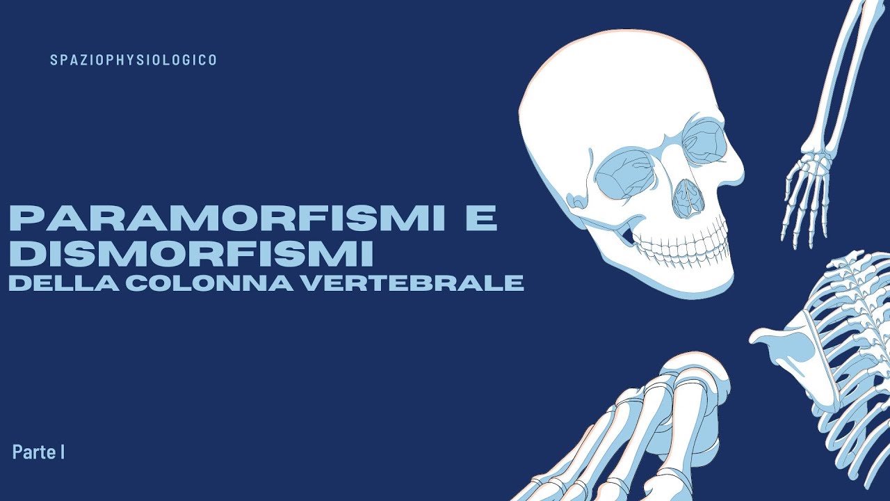 Paramorfismi e Dismorfismi della Colonna Vertebrale (Parte I)
