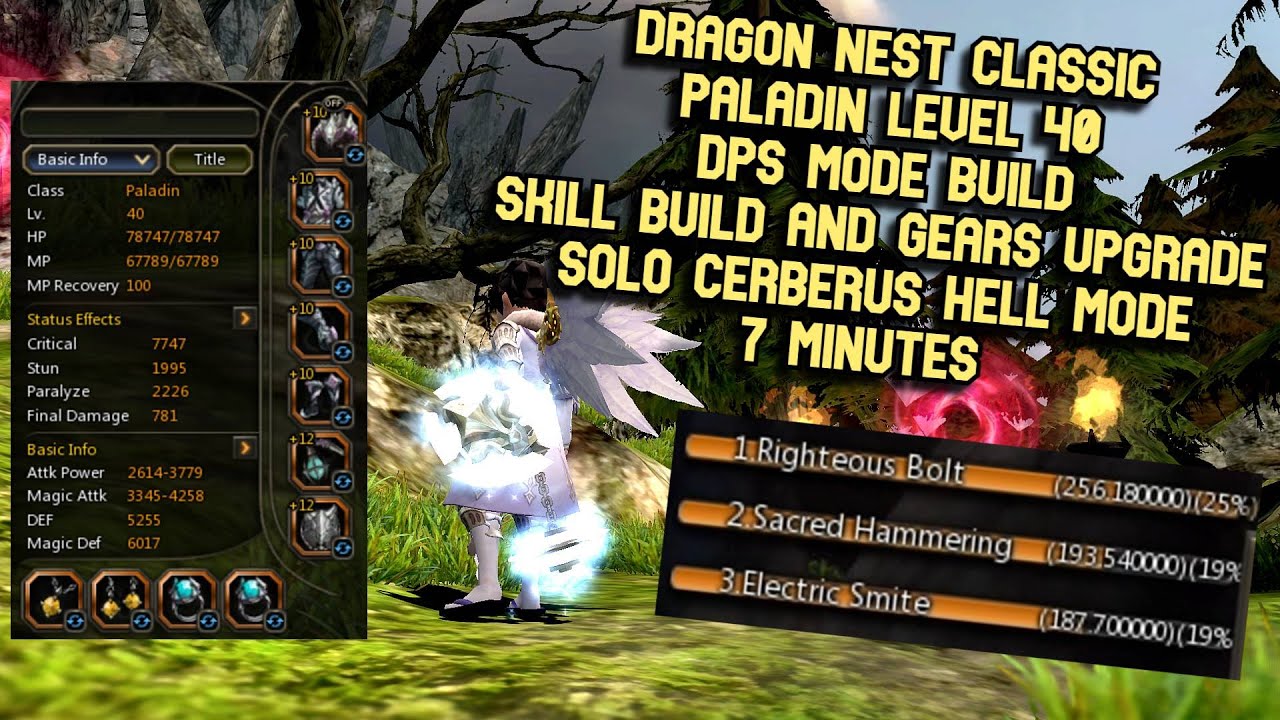 DN Classic Paladin Lv 40 DPS Mode Skill Build & Gears Upgrade Solo Cerberus Hell Mode 7 Minutes
