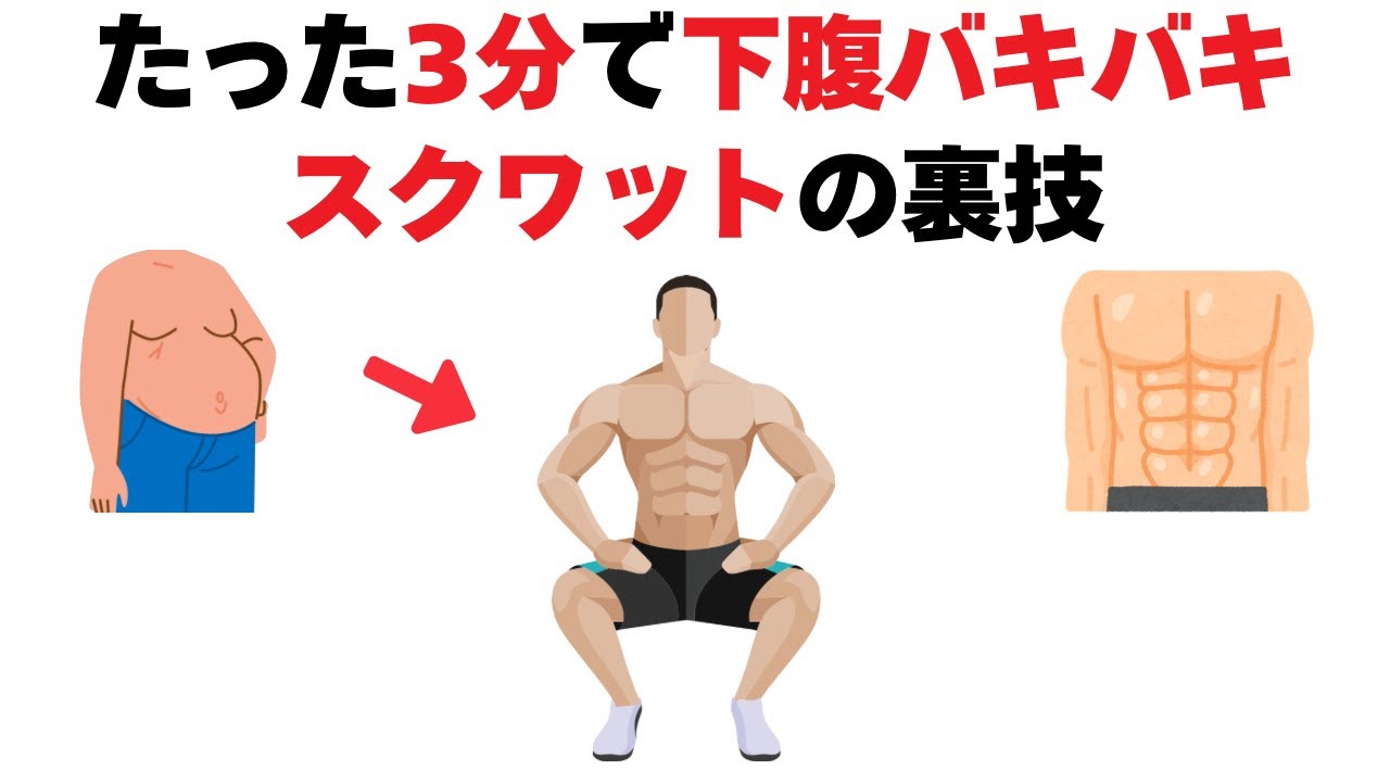 3分スクワットで下腹が引き締まる研究ベース裏技