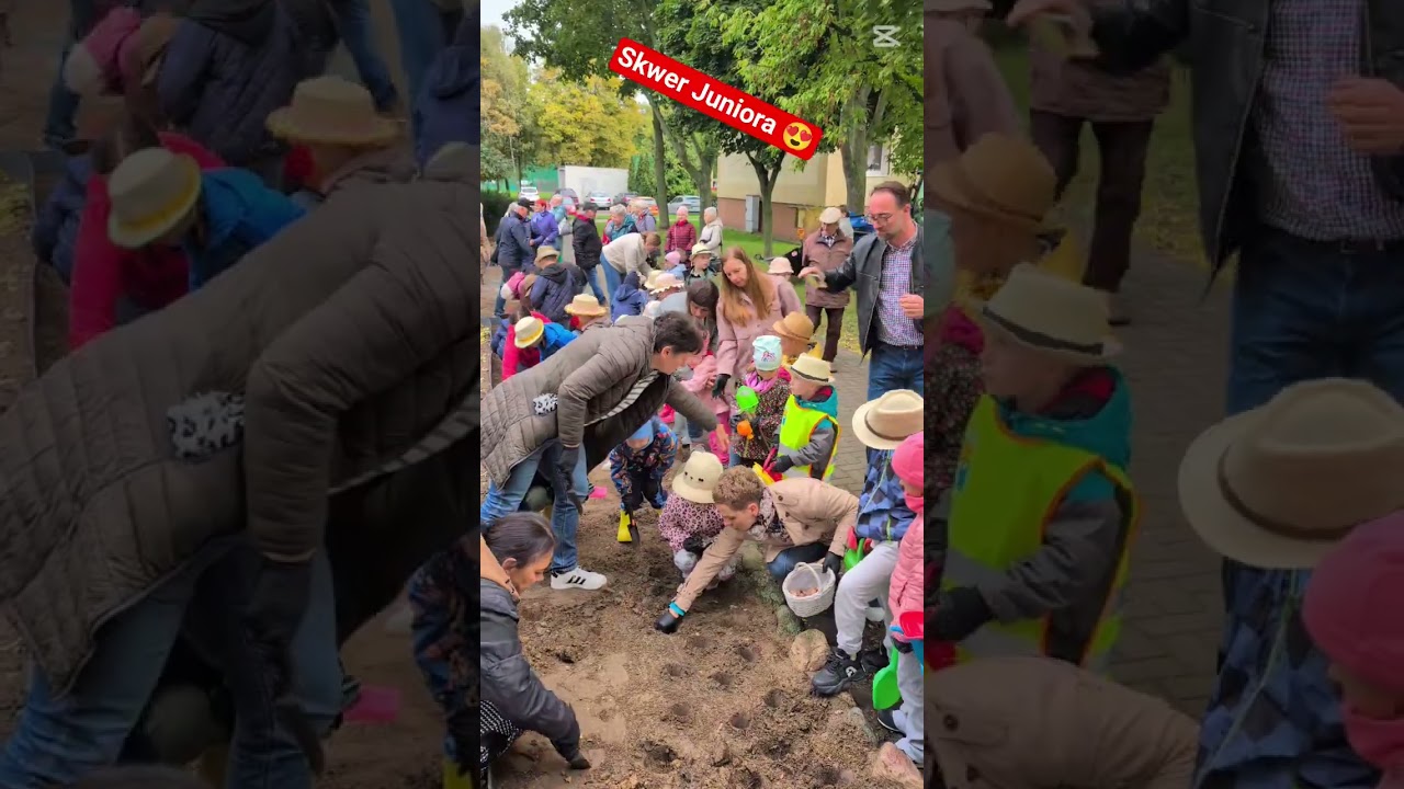 Skwer Juniora w Śremie