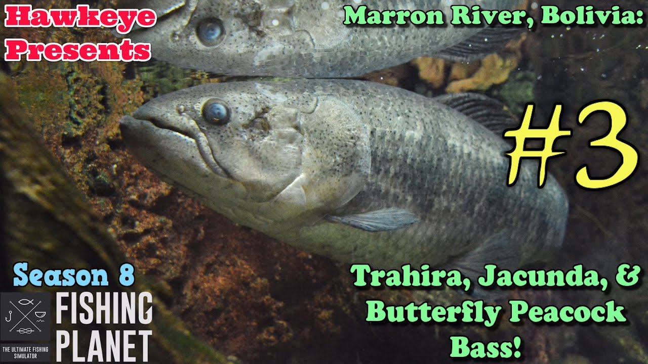 Fishing Planet #3 - S8 - Marron River, Bolivia: Trahira, Jacunda, & Butterfly Peacock Bass!