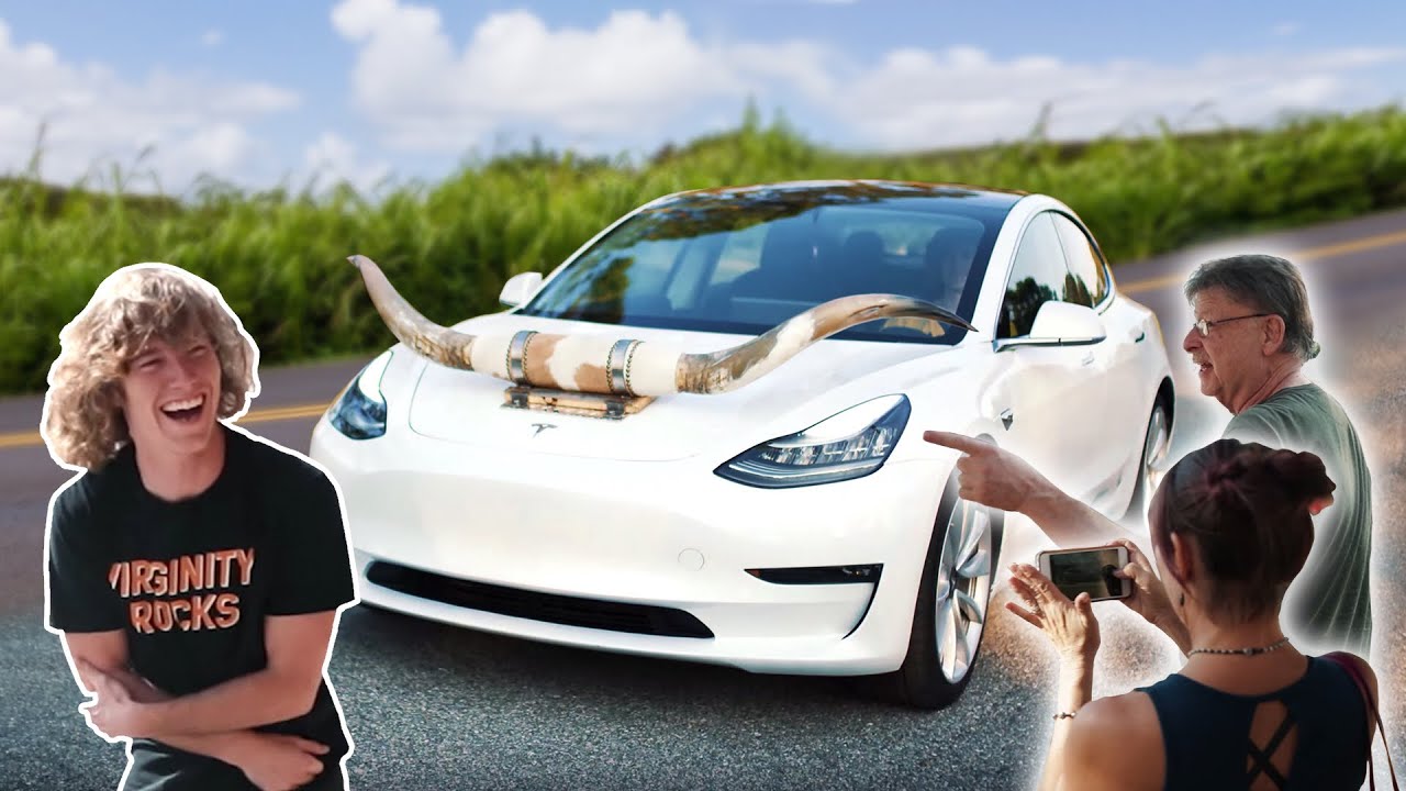 Putting Horns On My Tesla!