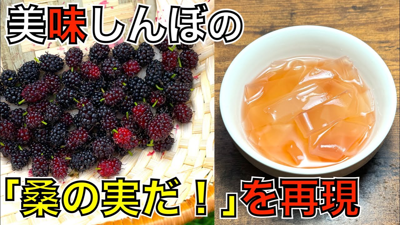 桑の実を摘んで「美味しんぼ」の謎料理を再現しました これから日常的に食べることになると思う