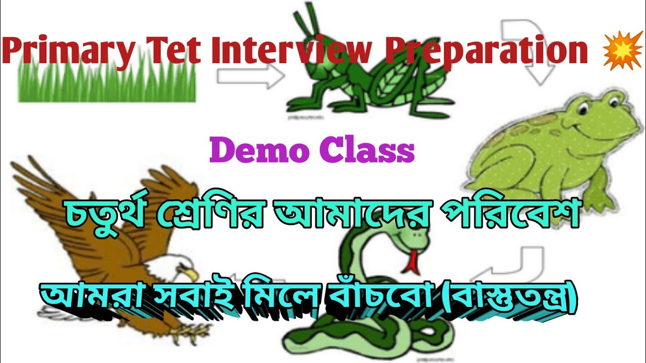 ডেমো ক্লাস||Tet Interview Preparation 👍 বাস্তুতন্ত্র || চতুর্থ শ্রেণির আমাদের পরিবেশ||