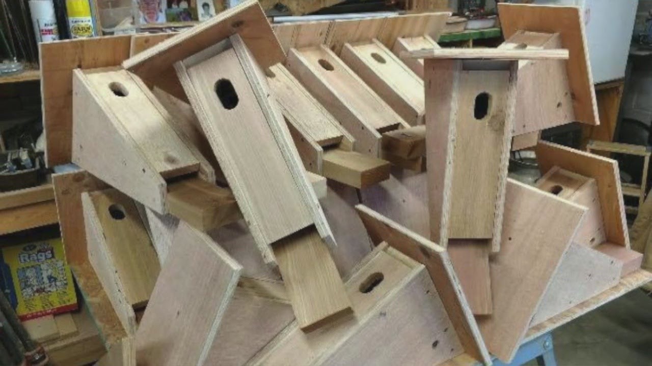 Man Turns Grief For Wife's Death Into Hundreds Of Bluebird Houses