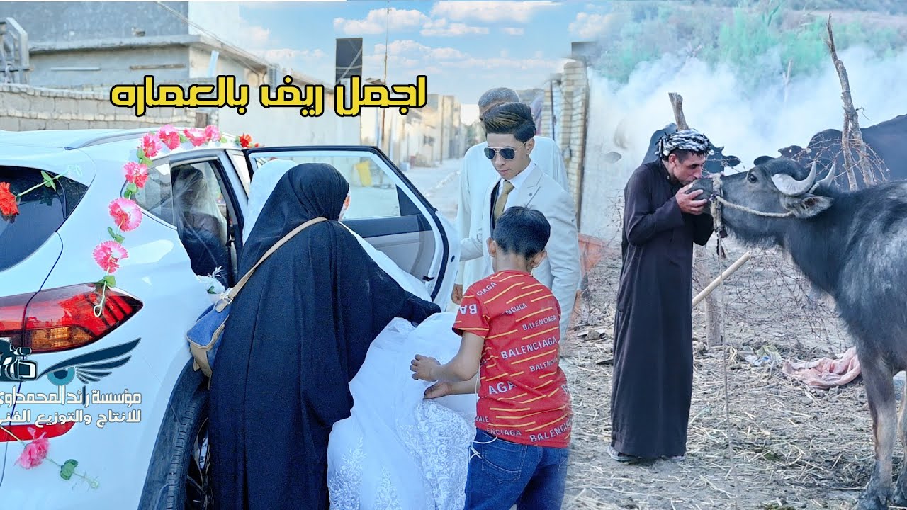 اجمل اعراس الريف والطبيعة العماره ـ زفاف الورد عباس ياسر النوفلي