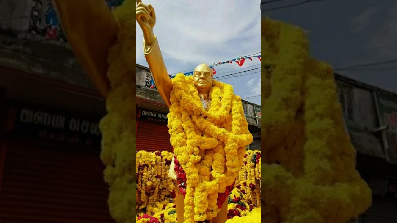Jay Bhim Morning Status Song 🙏 Nammo Budhay 🙏 Motivation Song