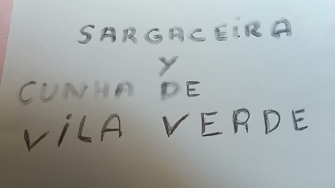 Cunha de Vila verde e Sargaceira.mais um coice de cavalo