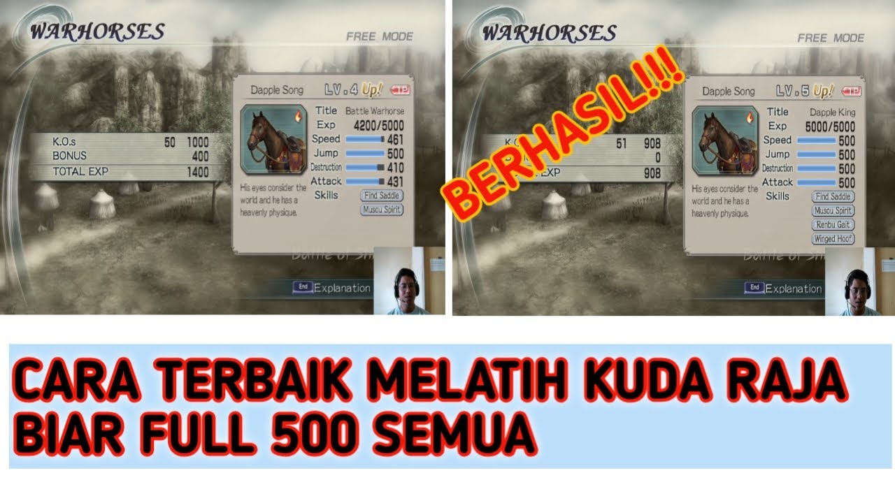Trik Melatih Kuda Raja Agar 500 Semua