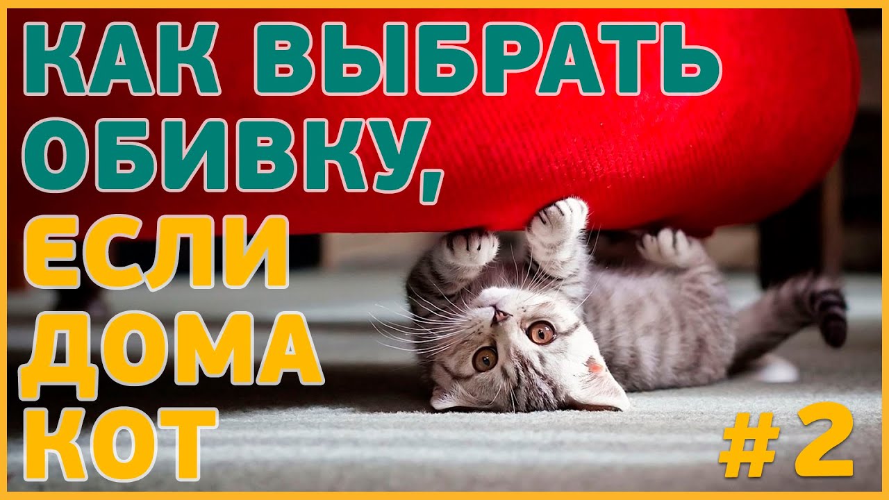 #2 - Мебельные ткани антикоготь - какую мебельную ткань выбрать если дома кот