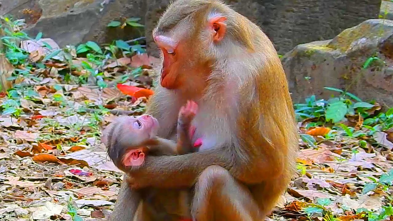 Mother Lauy falls in loves with her first newborn son, Lauy express how much she love newborn Lucan