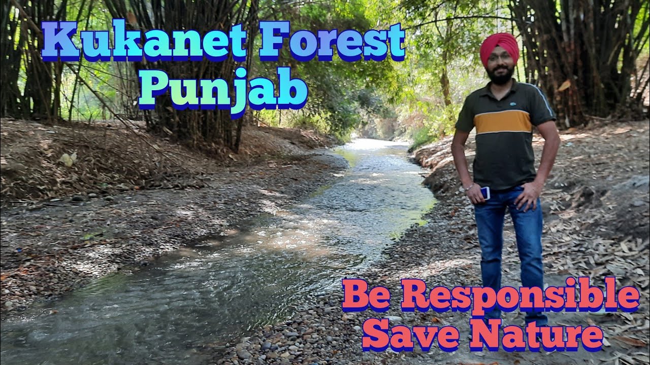 Kukanet Forest Hoshiarpur | Travellers Paradise | Hidden Gem | Save Nature & Be Responsible