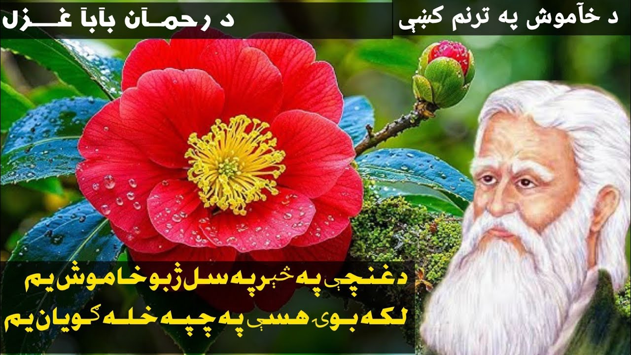 د غنچې په څېرپه سل ژبو خآموش يم || #عبدالرحمان بابا