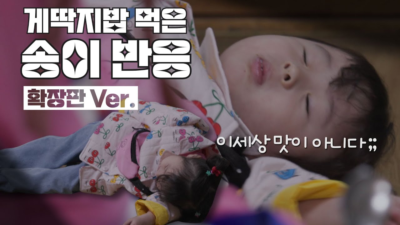 (SUB) 하하가 런닝맨 고정 멤버인 이유 [하하버스 확장판] | The reason why Haha is a regular member of Running Man