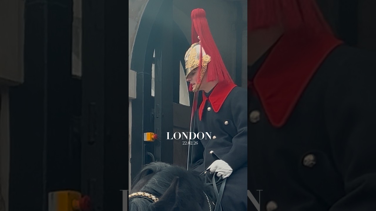 ВЫЙДИ ИЗ КОРОБКИ!💂&zwj;♂️🐎🗡️😡 | Конная гвардия, Королевская гвардия, Гвардия короля, Лошадь, Лондон, ...