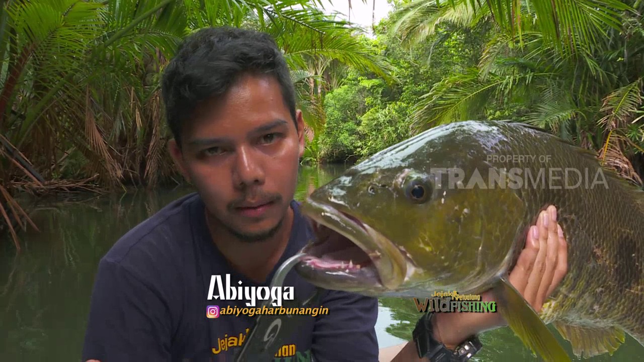 JEJAK PETUALANG - BERBURU PEMANGSA LIAR ASLI PAPUA (3/5/17) 3-2