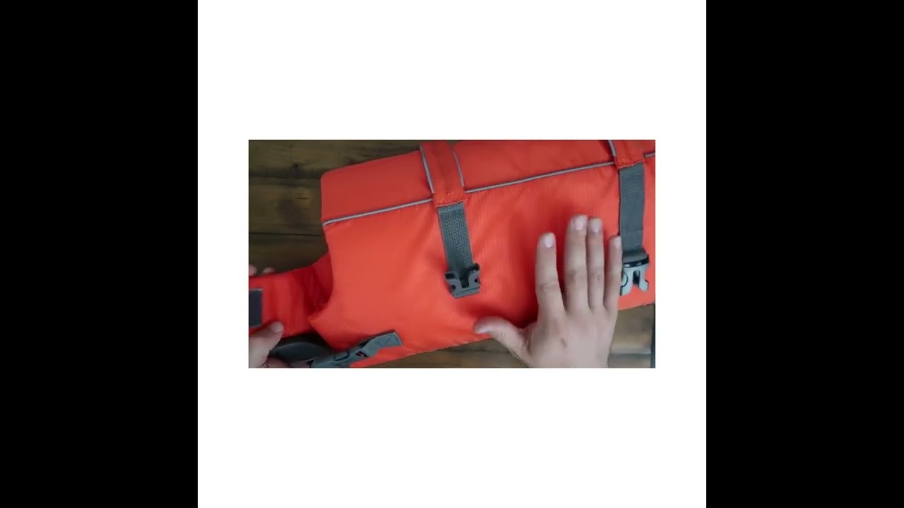 Outward Hound Granby Splash Dog Life Jacket 2023