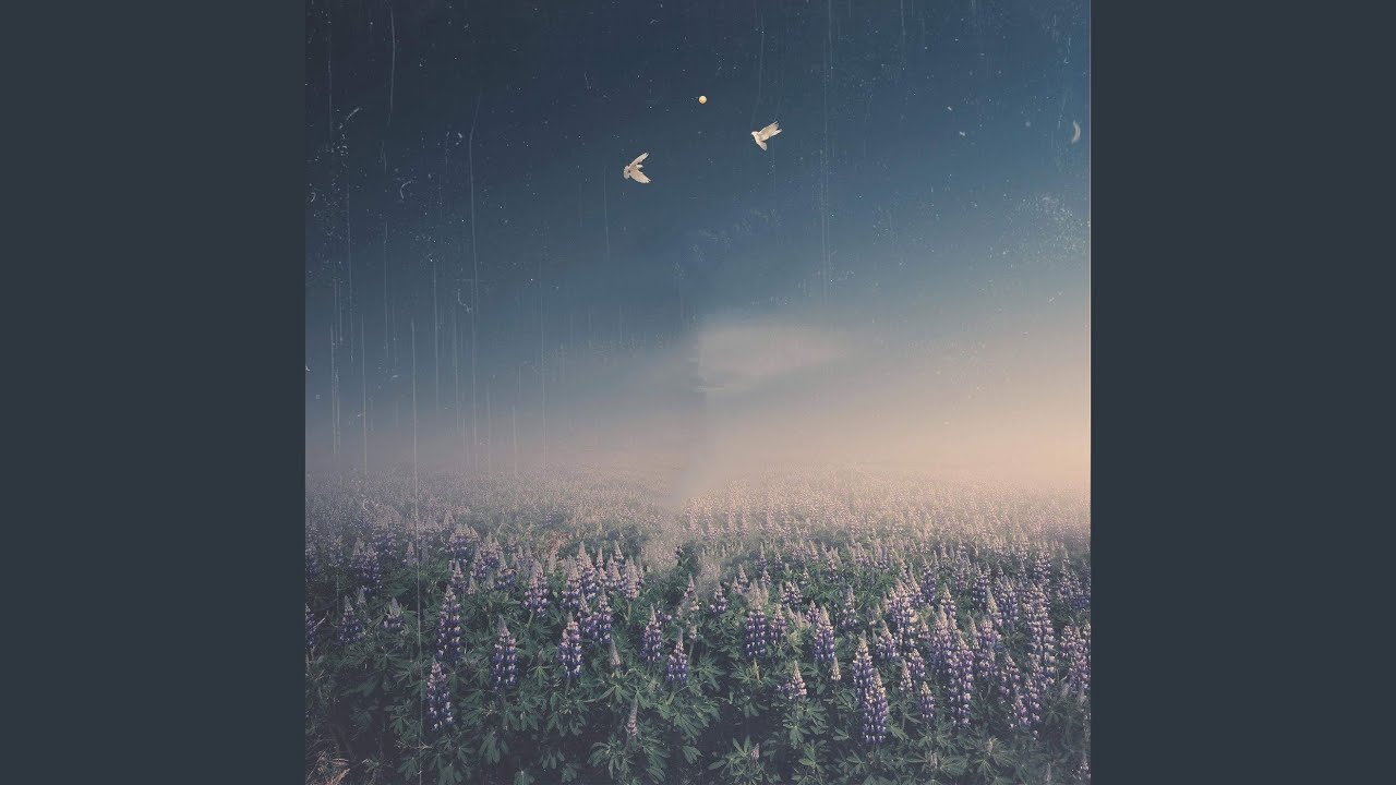 Movement of the Dawn