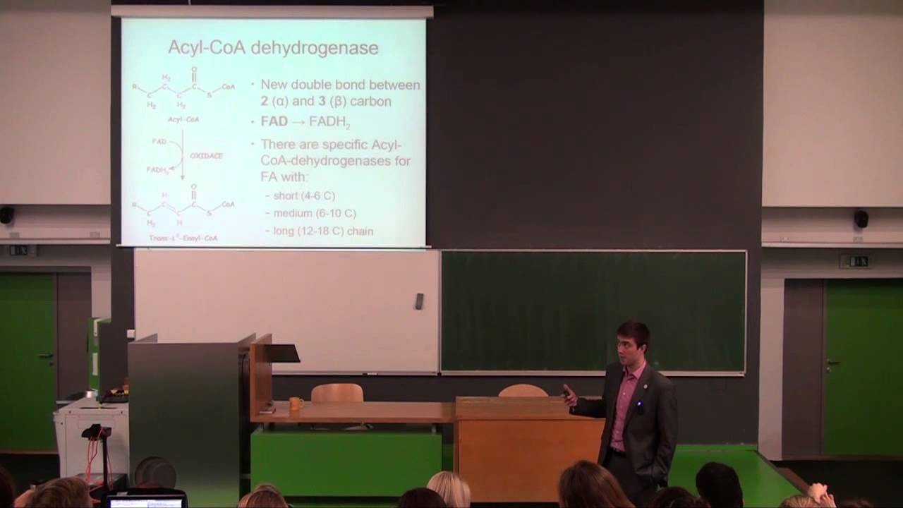 Lipid degradation (HD)