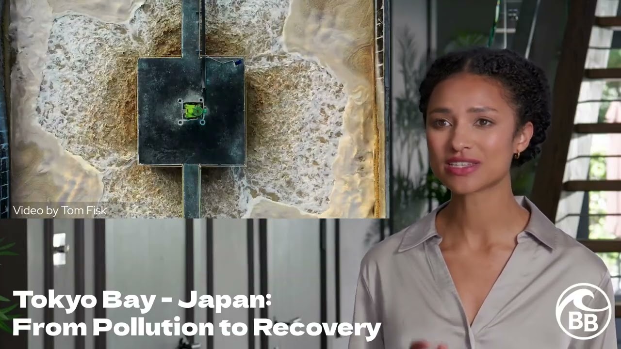 How Wastewater Treatment Improves Ocean Oxygen | Tokyo Bay Example