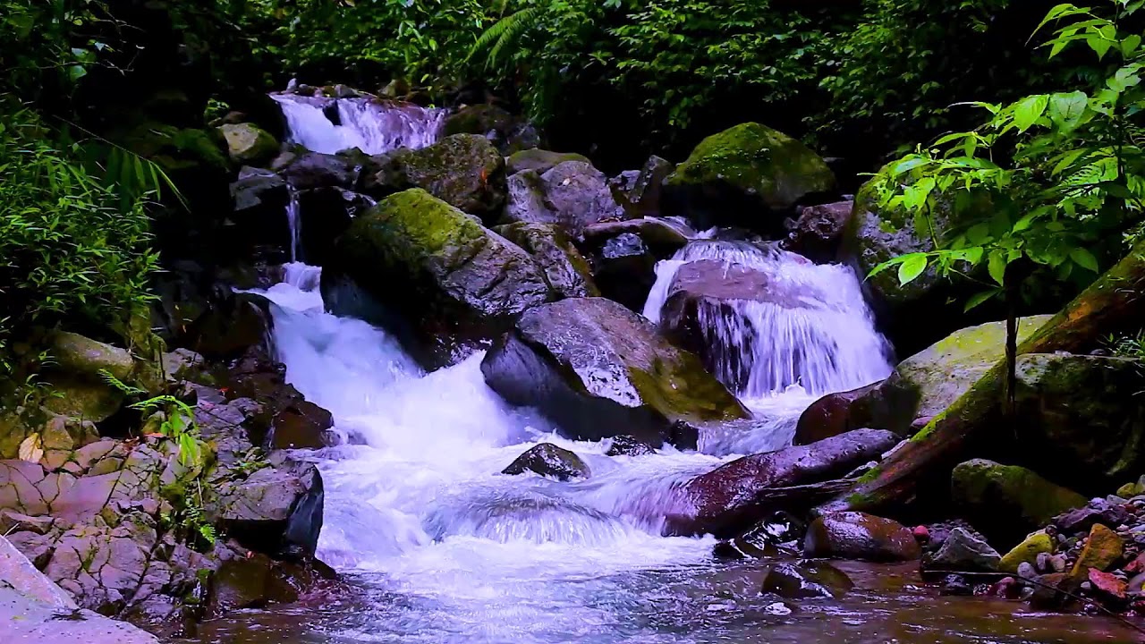 Mountain Stream Black Screen | 8 Hours Pure Forest Water White Noise for Sleeping