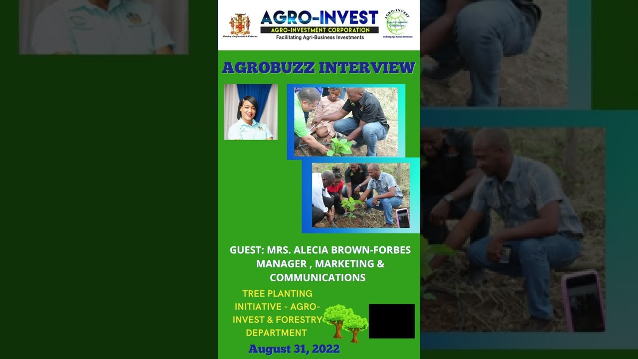AGRO BUZZ MP4 VIDEO   TREE PLANTING INITIATIVE   AGRO INVEST & FORESTRY