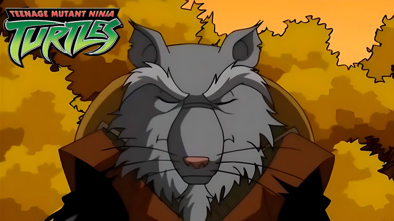 TMNT 2003 - Прохождение за мастера Сплинтера (на русском языке)