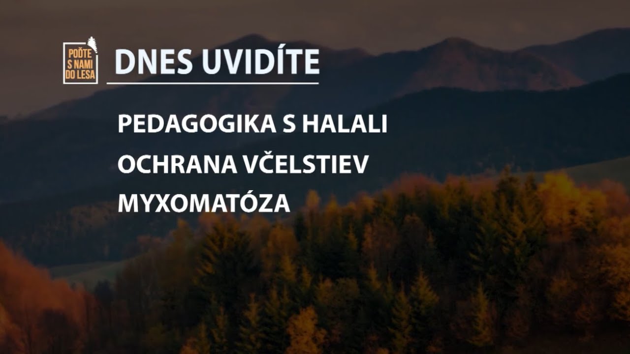 Poďte s nami do lesa 20/2025