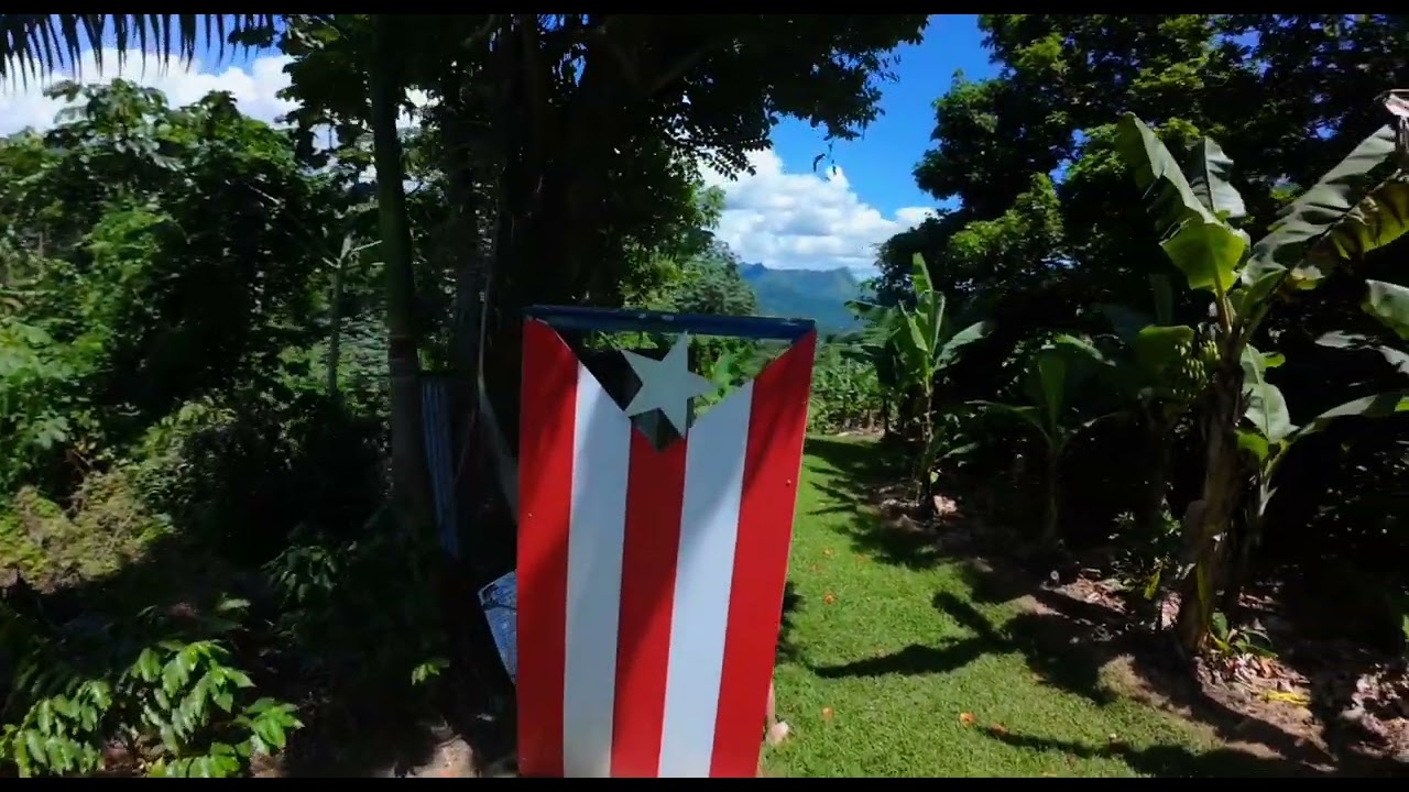 Finca Mi Diana Rancheras Yauco