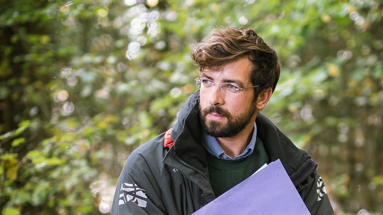 Profession : Gestionnaire forestier | EcoTree