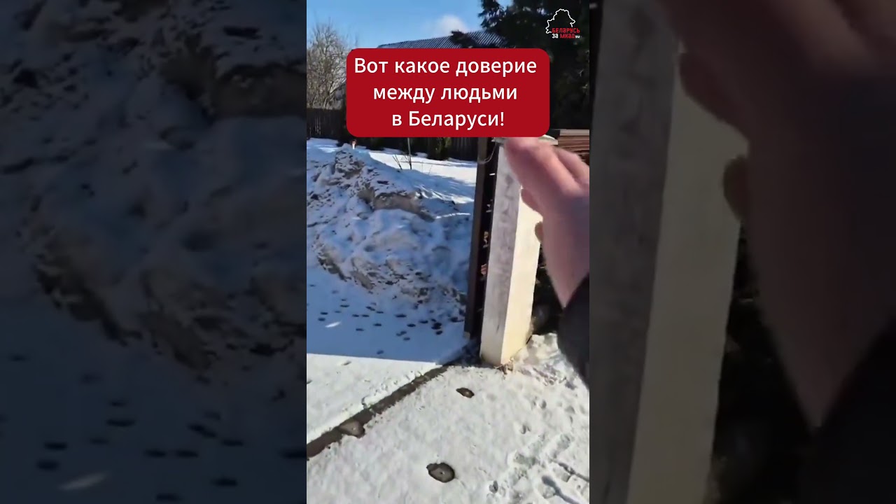 🤝 Беларус показал ситуацию, которая удивила граждан соседних государств