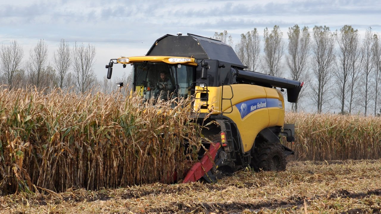 New Holland CX8090 on tracks - Loonbedrijf Neyt - mais dorsen 2013