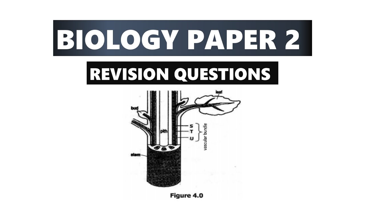 Biology Revision (2017 ECZ P2)