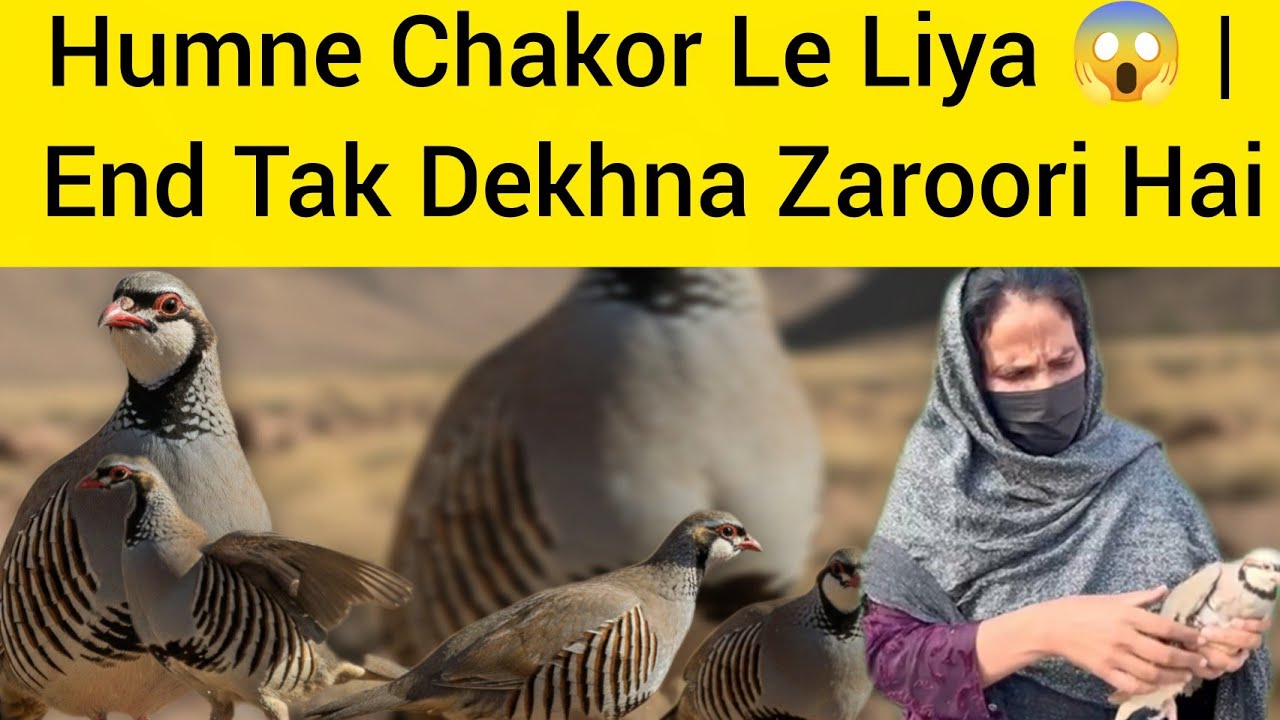 Humne Chakor Le Liya 😱 | End Tak Dekhna Zaroori Hai
