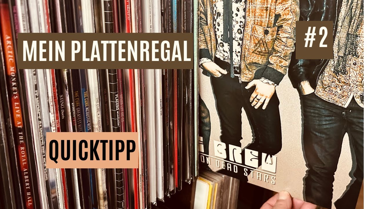 Mein Plattenregal Folge 2,  The Brew, Quicktipp, Vinylplatte