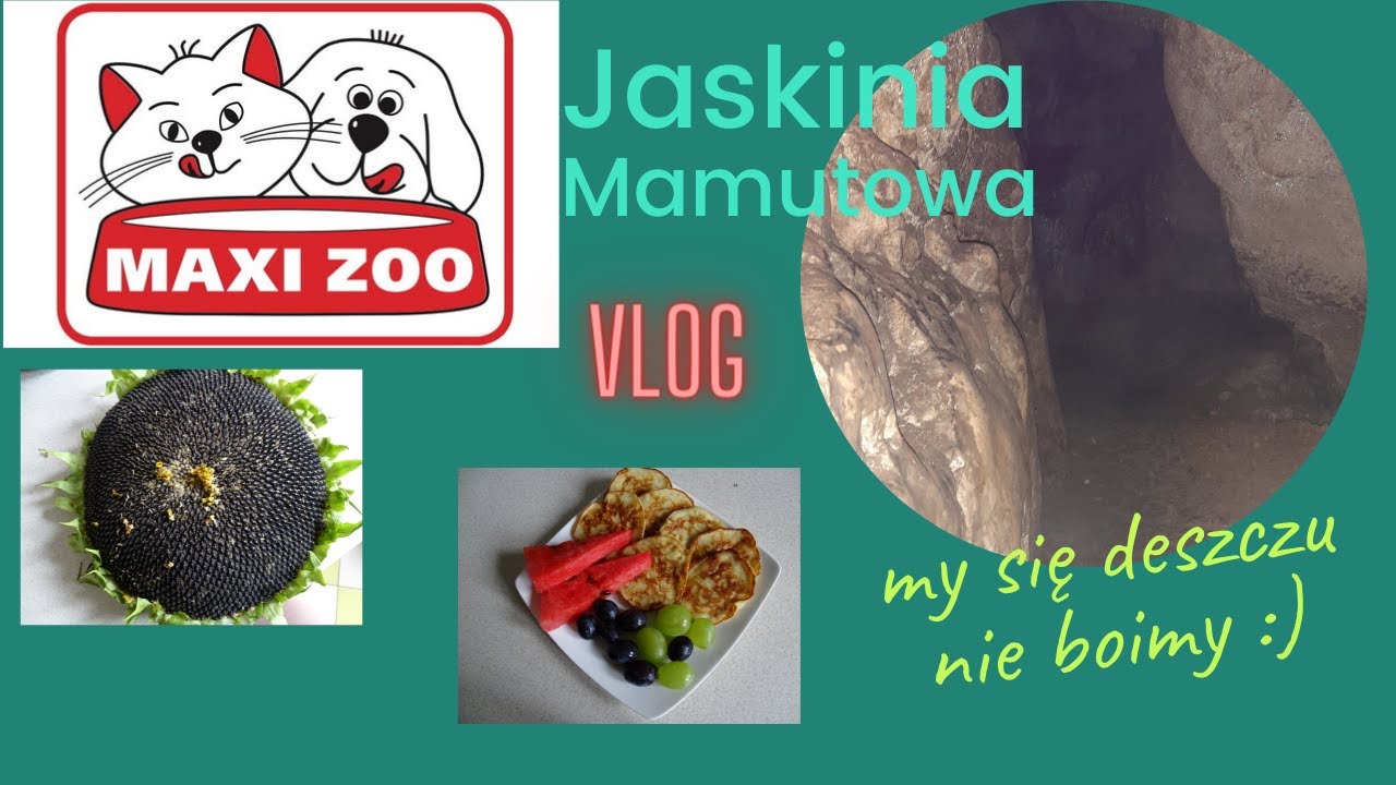 Maxi Zoo/Spacer w deszczu/ Jaskinia Mamutowa/Weekendowy vlog