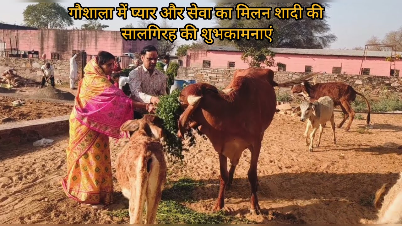 ''25वीं शादी की सालगिरह पर माता की, सेवा एक यादगार पल