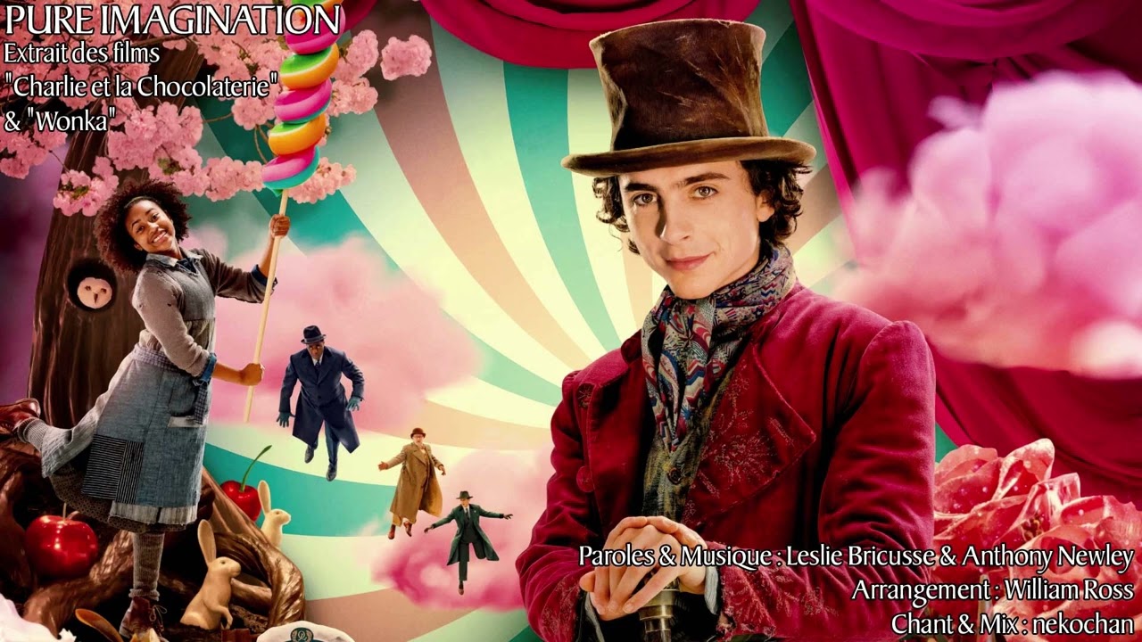 Wonka - Pure Imagination {COVER par nekochan}