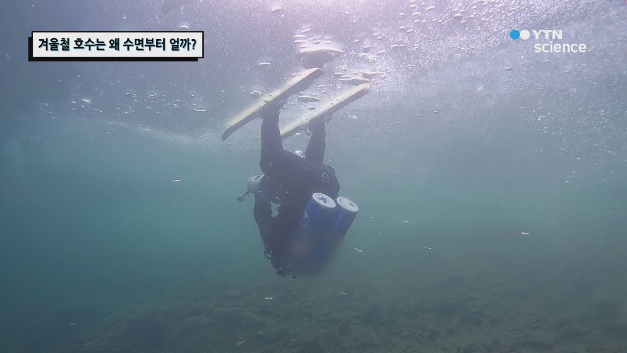 겨울철 호수는 왜 수면부터 얼까? / YTN 사이언스