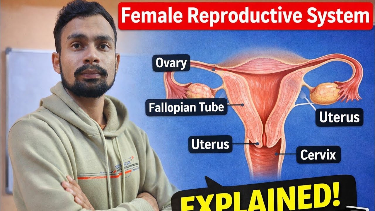 Female Reproductive System | How do Organisms reproduce Class 10 | Ovaries | Female Gametes |