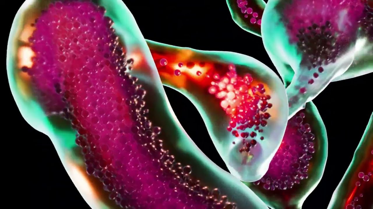 RONA. -  It's All Here (Official Visualiser)