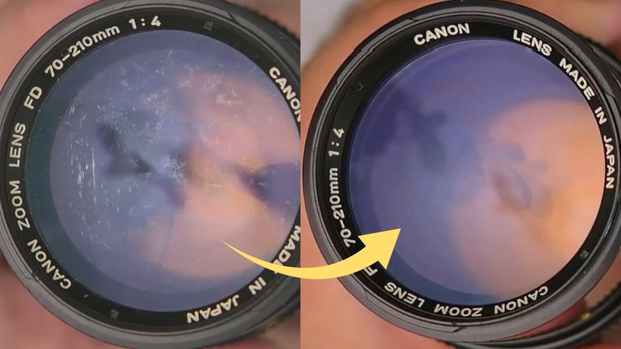 How to clean fungus on an old lens