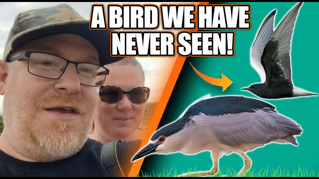We’ve NEVER Seen This Bird Before! | Stormy Birding & Rare Finds