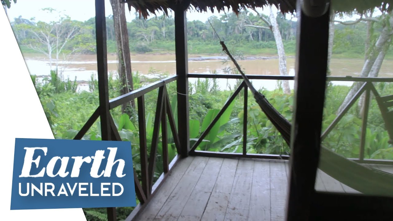 Living in a Jungle Lodge 🌳  Accommodations in the Amazon Rainforest, Peru 🇵🇪