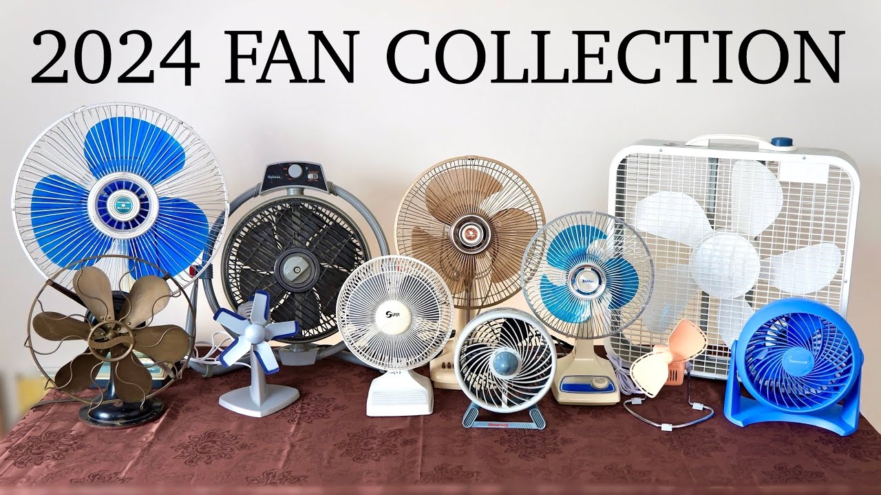 2024 Fan Collection!