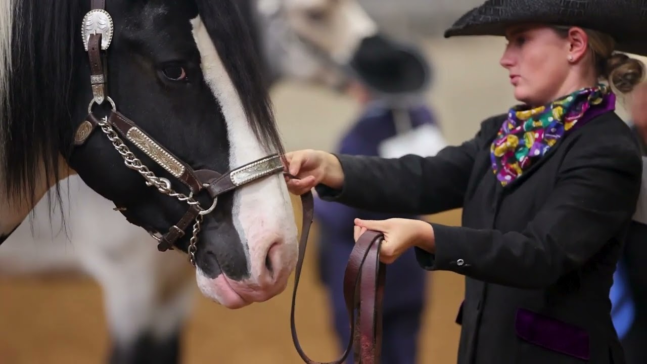 2024 Gypsy Nationals Braidmor Farm - Jameson