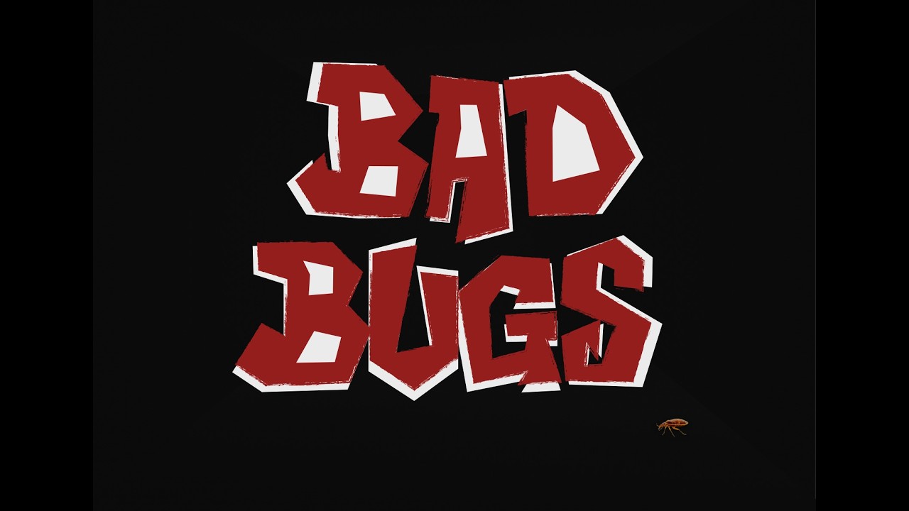 BAD BUGS - Parodie de Sweet Dreams de Beyoncé et MY EYES de Travis Scott