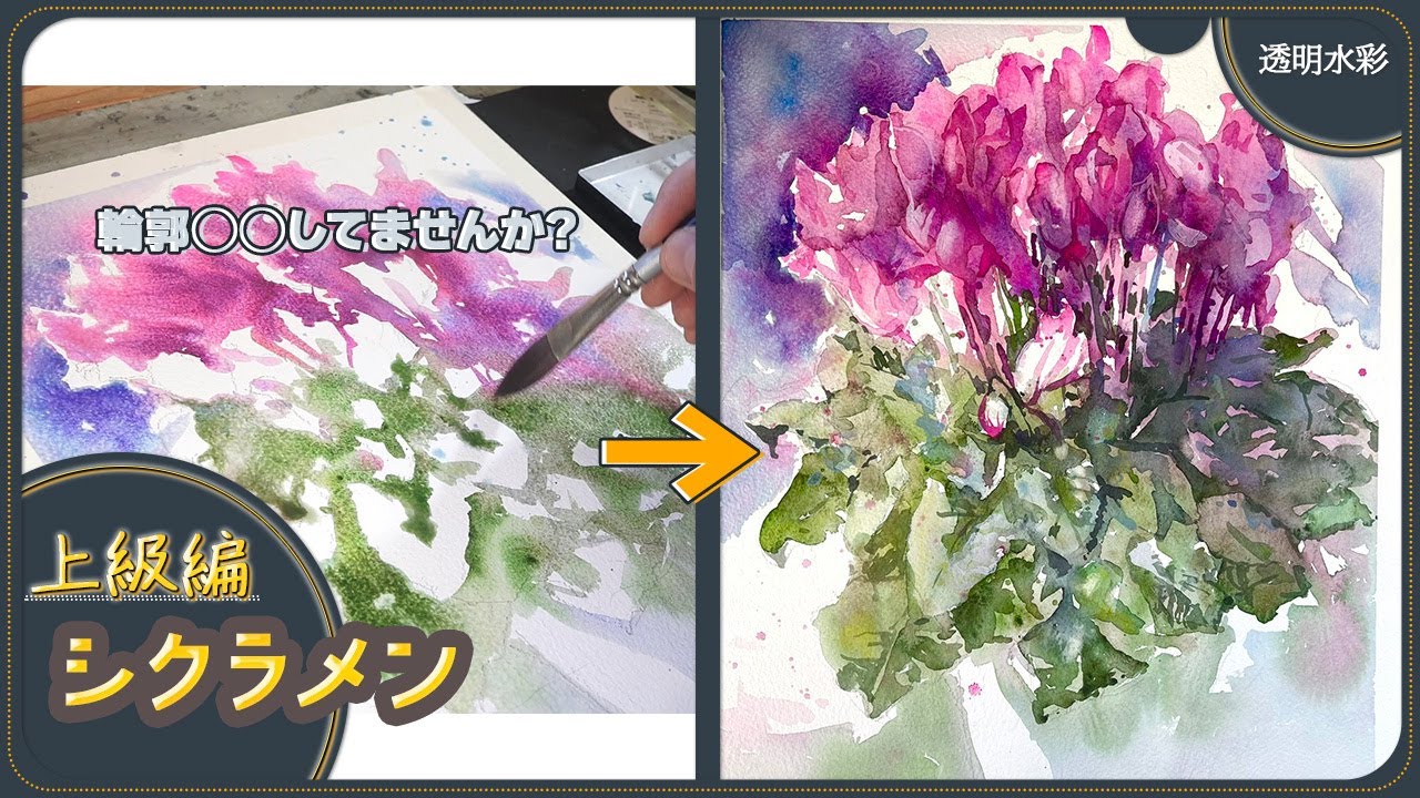 【透明水彩/シクラメン】初心者向けとは違う!一緒に成長しましょう！This is different from the one for beginners! Let's grow together!