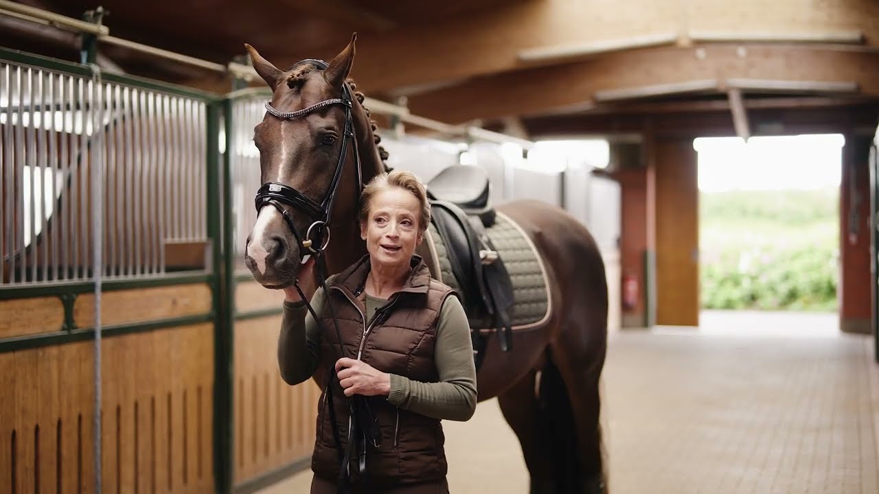 Discover the Schockemohle Isabell Werth Bridle Collection for Your Horse